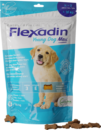 Flexadin Young Dog MAXI dla młodych psów powyżej 10kg na stawy 60 sztuk